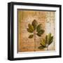 Botanica II-Patricia Pinto-Framed Art Print