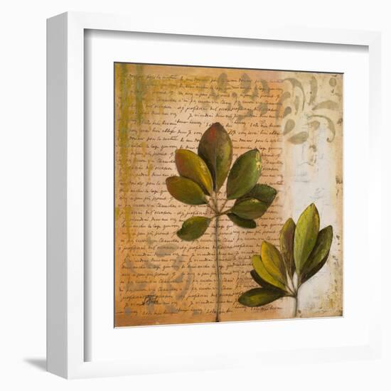 Botanica II-Patricia Pinto-Framed Art Print