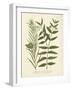 Botanica Indicum-The Vintage Collection-Framed Art Print