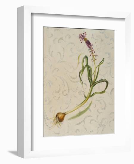 Botanica IV-Patricia Pinto-Framed Art Print