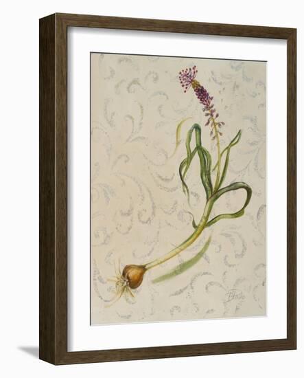 Botanica IV-Patricia Pinto-Framed Art Print