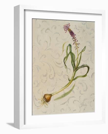 Botanica IV-Patricia Pinto-Framed Art Print