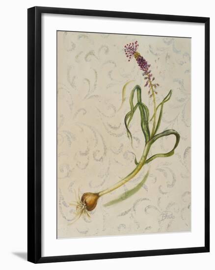 Botanica IV-Patricia Pinto-Framed Art Print