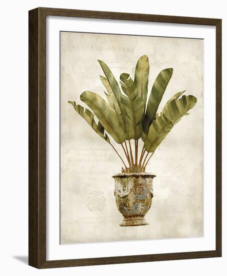 Botanica Tropical-Emma Hill-Framed Giclee Print