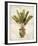 Botanica Tropical-Emma Hill-Framed Giclee Print