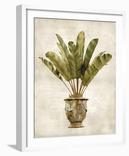 Botanica Tropical-Emma Hill-Framed Giclee Print