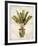 Botanica Tropical-Emma Hill-Framed Giclee Print