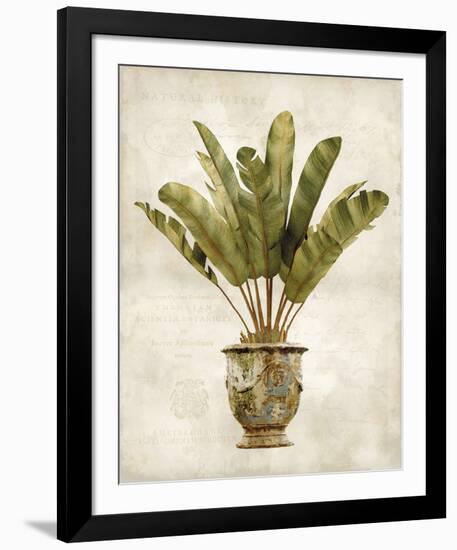 Botanica Tropical-Emma Hill-Framed Giclee Print