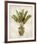 Botanica Tropical-Emma Hill-Framed Giclee Print