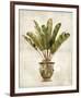 Botanica Tropical-Emma Hill-Framed Giclee Print