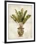 Botanica Tropical-Emma Hill-Framed Giclee Print