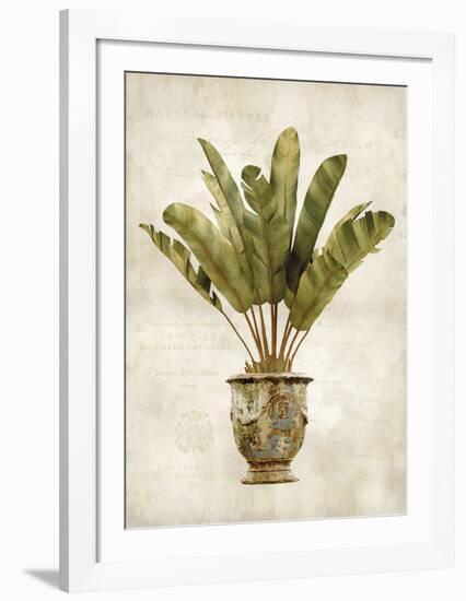 Botanica Tropical-Emma Hill-Framed Art Print