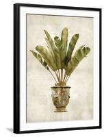 Botanica Tropical-Emma Hill-Framed Art Print