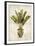 Botanica Tropical-Emma Hill-Framed Art Print