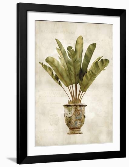 Botanica Tropical-Emma Hill-Framed Art Print