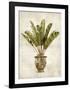 Botanica Tropical-Emma Hill-Framed Art Print