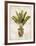 Botanica Tropical-Emma Hill-Framed Art Print