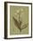 Botanica Verde II-John Seba-Framed Art Print