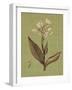 Botanica Verde II-John Seba-Framed Art Print