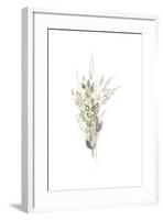 Botanica Whimsy I-June Vess-Framed Art Print