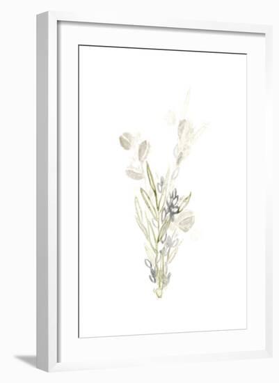 Botanica Whimsy II-June Vess-Framed Art Print