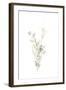 Botanica Whimsy II-June Vess-Framed Art Print