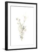 Botanica Whimsy II-June Vess-Framed Art Print