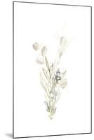 Botanica Whimsy II-June Vess-Mounted Art Print