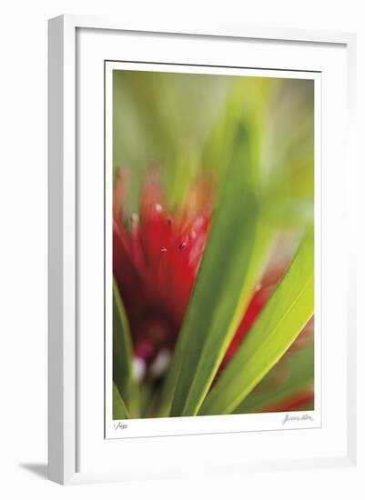 Botanical 1-Florence Delva-Framed Limited Edition