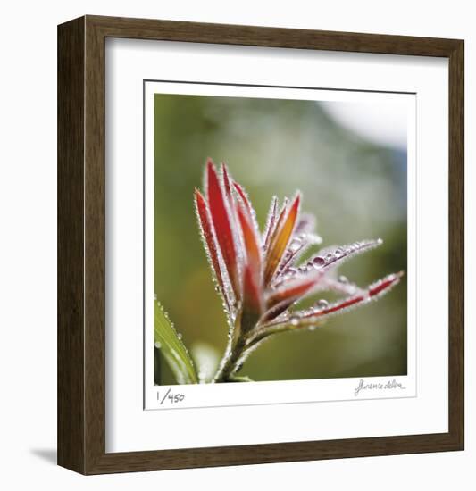 Botanical 2-Florence Delva-Framed Limited Edition