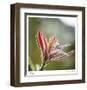 Botanical 2-Florence Delva-Framed Limited Edition