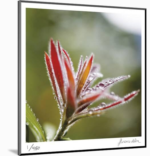 Botanical 2-Florence Delva-Mounted Limited Edition