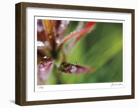 Botanical 3-Florence Delva-Framed Limited Edition