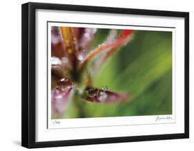 Botanical 3-Florence Delva-Framed Limited Edition