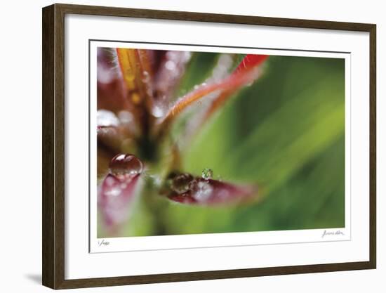 Botanical 3-Florence Delva-Framed Limited Edition