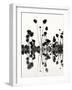 Botanical Abstract No. 4-Nicholas Bell-Framed Art Print