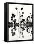 Botanical Abstract No. 4-Nicholas Bell-Framed Stretched Canvas