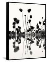 Botanical Abstract No. 4-Nicholas Bell-Framed Stretched Canvas