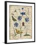 Botanical-Aster-Bluet-Damask-Jean Plout-Framed Giclee Print