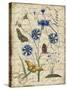 Botanical-Aster-Bluet-Damask-Jean Plout-Stretched Canvas