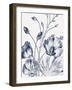 Botanical Beauty Chalk IX Blue on White Crop-Wild Apple Portfolio-Framed Art Print