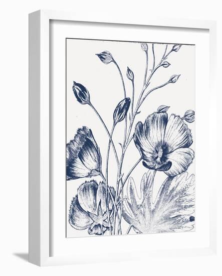 Botanical Beauty Chalk IX Blue on White Crop-Wild Apple Portfolio-Framed Art Print