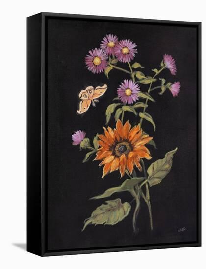 Botanical Beauty II-Julia Purinton-Framed Stretched Canvas