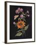 Botanical Beauty II-Julia Purinton-Framed Art Print