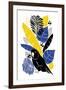 Botanical Birds II-Myriam Tebbakha-Framed Giclee Print