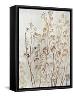 Botanical Bliss II-Asia Jensen-Framed Stretched Canvas