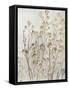 Botanical Bliss II-Asia Jensen-Framed Stretched Canvas