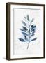 Botanical Blue II-Isabelle Z-Framed Art Print