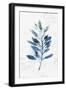 Botanical Blue II-Isabelle Z-Framed Art Print