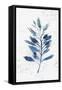Botanical Blue II-Isabelle Z-Framed Stretched Canvas